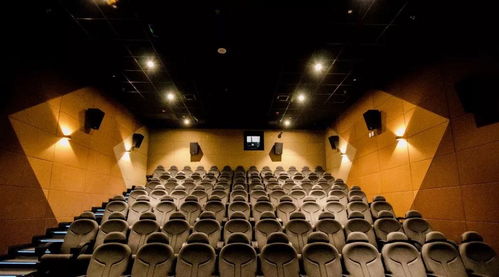 #成龙呼吁大家到电影院看电影#：电影的魅力，不可替代的体验