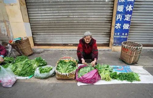 四川乐山一卖菜老人给城管下跪？当地回应：执法人员无过分行为