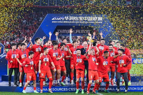 队史首夺足协杯！海港3-1泰山，赛季双冠，泰山基本无缘明年亚冠