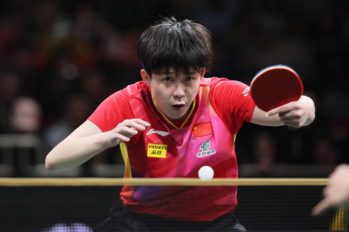 混团世界杯：国乒8-0横扫印度，再现王者风范！