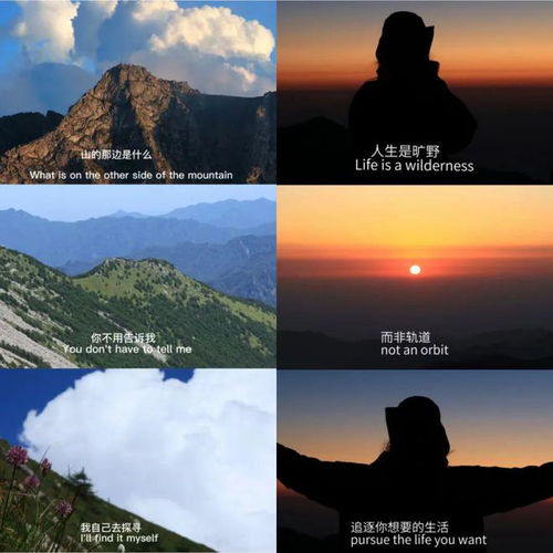 人生是旷野，不是轨道：我的探索与感悟