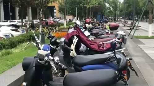 新规出台：带电动车进电梯，罚款没商量！