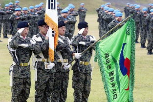 太阳的后裔原型部队参与韩国戒严：从影视到现实的震撼