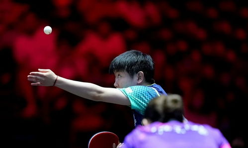 孙颖莎 vs 金娜英：赛场上的青春对决