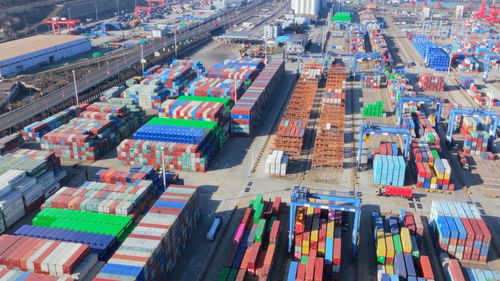 “质”同道合 新丝路上的“百宝箱”：我的探索之旅