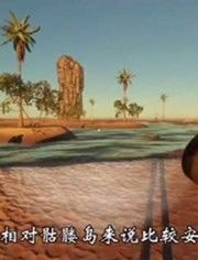 荒岛75：我的75天荒岛求生之旅