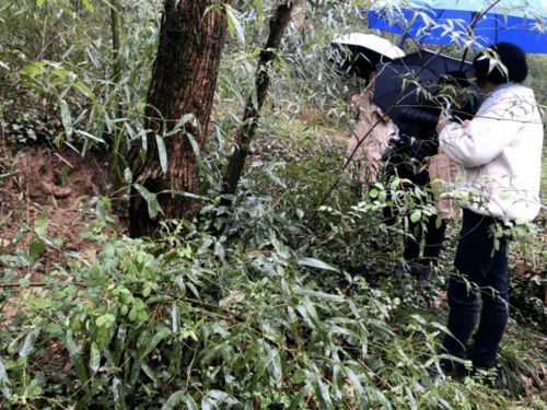 田间偶遇战国青铜剑：我的意外发现与善举