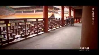 武馆：从初学者到传承者的蜕变之路