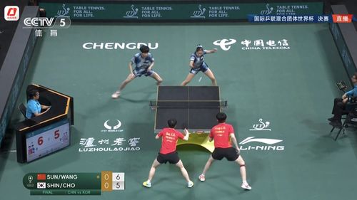 孙颖莎王楚钦战胜韩国队：国乒的荣耀时刻