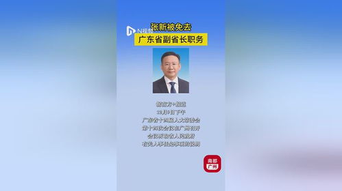 聚焦热点：张新被免去广东省副省长职务，背后的故事与影响