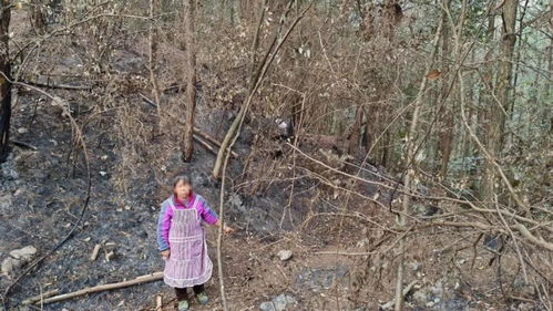 女子为捡塑料瓶放火烧山：一个普通人的反思与警示