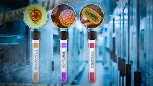 澳洲实验室丢失323份致命病毒样本：狂犬病毒等惊现，背后真相令人担忧