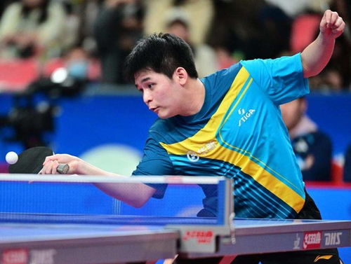 樊振东3:1林诗栋：国乒男队的希望与挑战