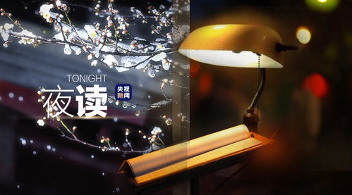 《繁花》里值得细品的人生道理：从剧中台词到生活启示