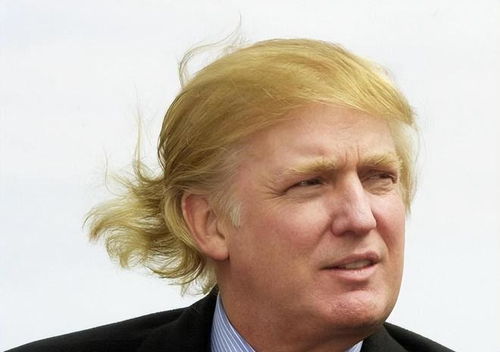 特朗普换新发型亮相：从海湖庄园到全球关注