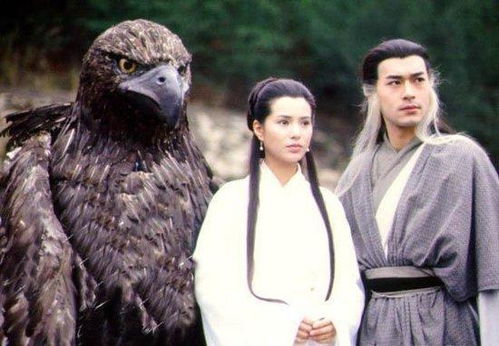 这个时代还能遇到像杨过与小龙女那样的爱情吗？