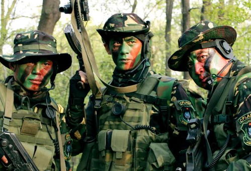 韩国年轻人的‘特种兵旅游’热潮：上海成为热门打卡地