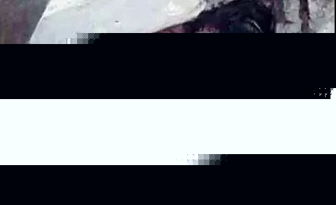 4000年前地震：母亲用身体护住孩子的感人瞬间