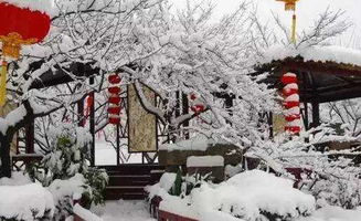 武汉下雪了：从东湖结冰到期待雪花纷飞