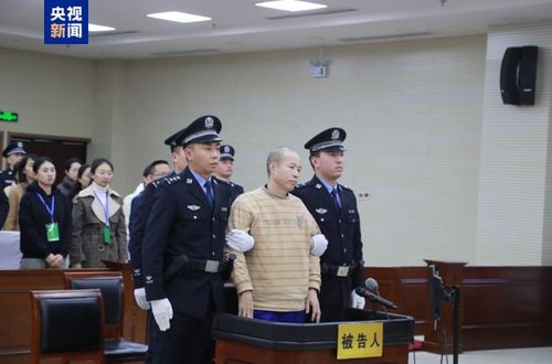 正义终将到来：法官王佳佳案一审宣判背后