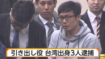 惊！中国籍两兄弟在日本偷走3200颗包菜，背后的故事令人深思