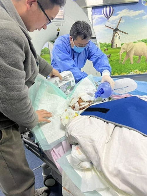 西安男童被恶犬咬伤事件追踪：真相与反思