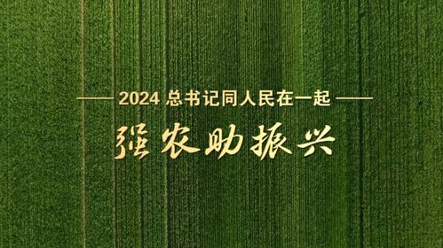 与人民心连心：2024年基层见闻