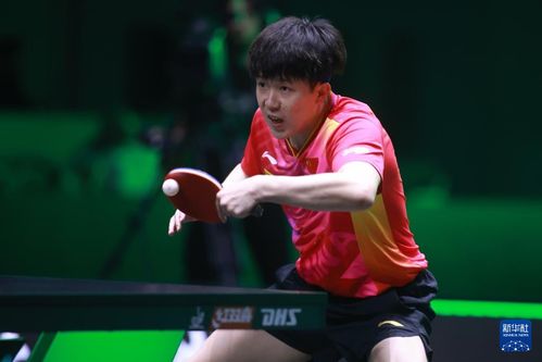 WTT回应樊振东陈梦退出世界排名：背后的真相与思考