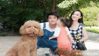 杜江霍思燕一家的温馨日常：带娃和狗看帕丁顿熊