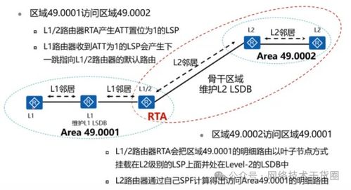 支点越多，内核越稳：个人成长的深刻理解