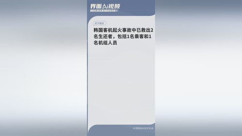 亲历韩国客机着火事件：生还者背后的惊魂一刻