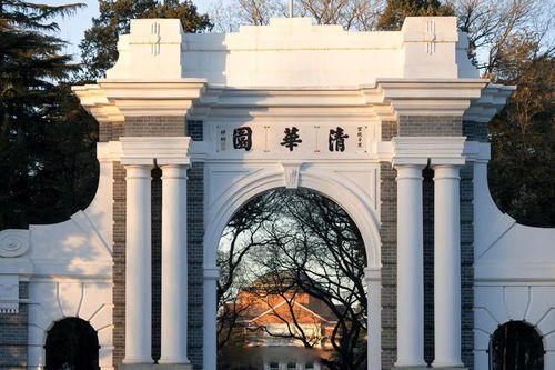 聚焦清华毕业生去向：校方发声背后的真相