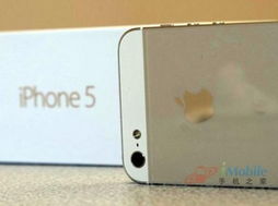 苹果降价遇上国产机购新补贴：我亲历的手机市场大变局