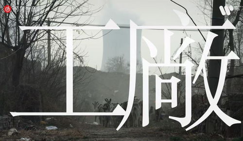 银发经济崛起，“刀郎”成顶流，音综2024集体“哑火”？