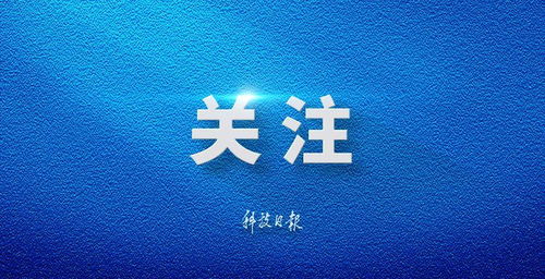 求职者的福音：这份就业服务汇总请收好