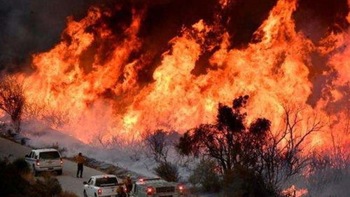 加州山火背后的真相：灭火率为零？