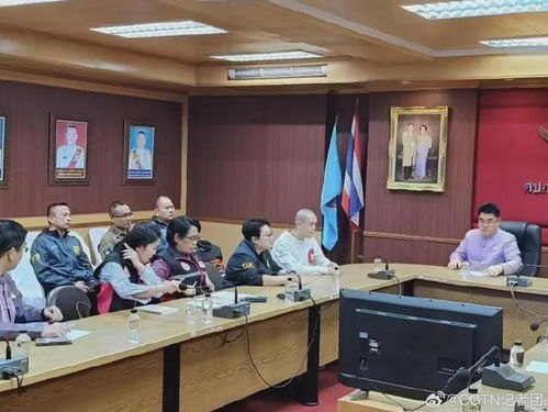 见证奇迹：从泰国到家乡，王星的归国之旅