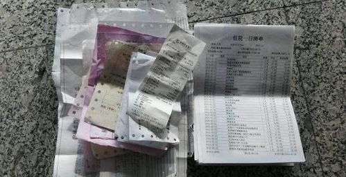 游客的冷漠与大爷的善意：一场令人深思的事件