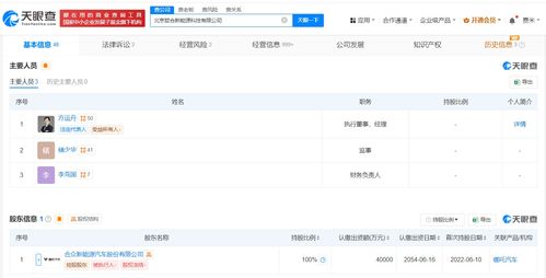 哪吒汽车创始人被限消：背后的真相与反思