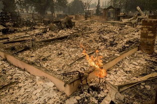 加州山火肆虐：消防栓为何没水？深入探究背后的真相