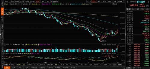 A股全线收涨，我的投资之路迎来曙光