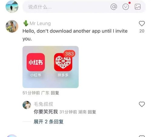 当美国网友涌入小红书交猫税：一场跨文化的猫咪狂欢