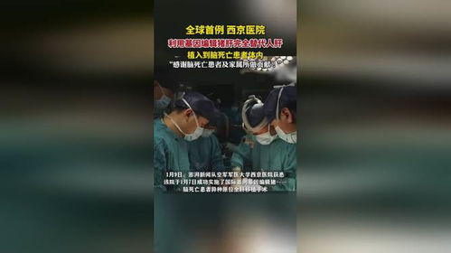 见证奇迹：基因编辑猪肝移植手术成功，肝衰竭患者的曙光