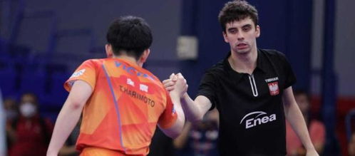 张本智和未能连续两周夺冠：王楚钦4-0横扫背后的真相