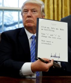 特朗普上任后的政策展望：专家与媒体的深度解析