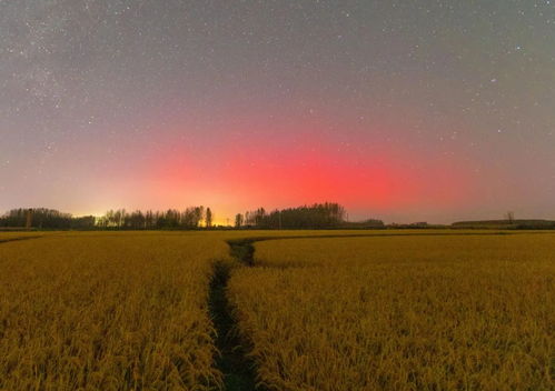 我国甘肃、内蒙古、黑龙江发现大型金矿，新增金资源量168吨