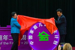 家家美幸福年：从社区到家庭，新春的温暖与欢乐