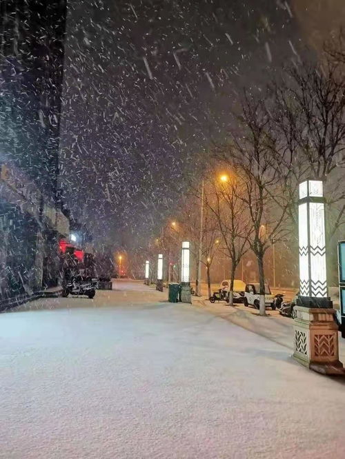 郑州下雪了：冬日初雪的惊喜与挑战