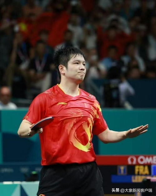 陈梦轻舟已过万重山：从巅峰到转身，她依然是那个热爱乒乓球的追梦人