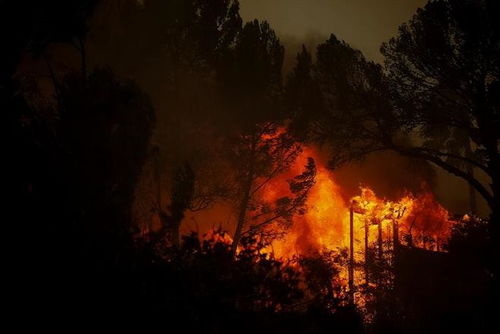 美国加州山火频发：新旧火灾交织下的严峻挑战